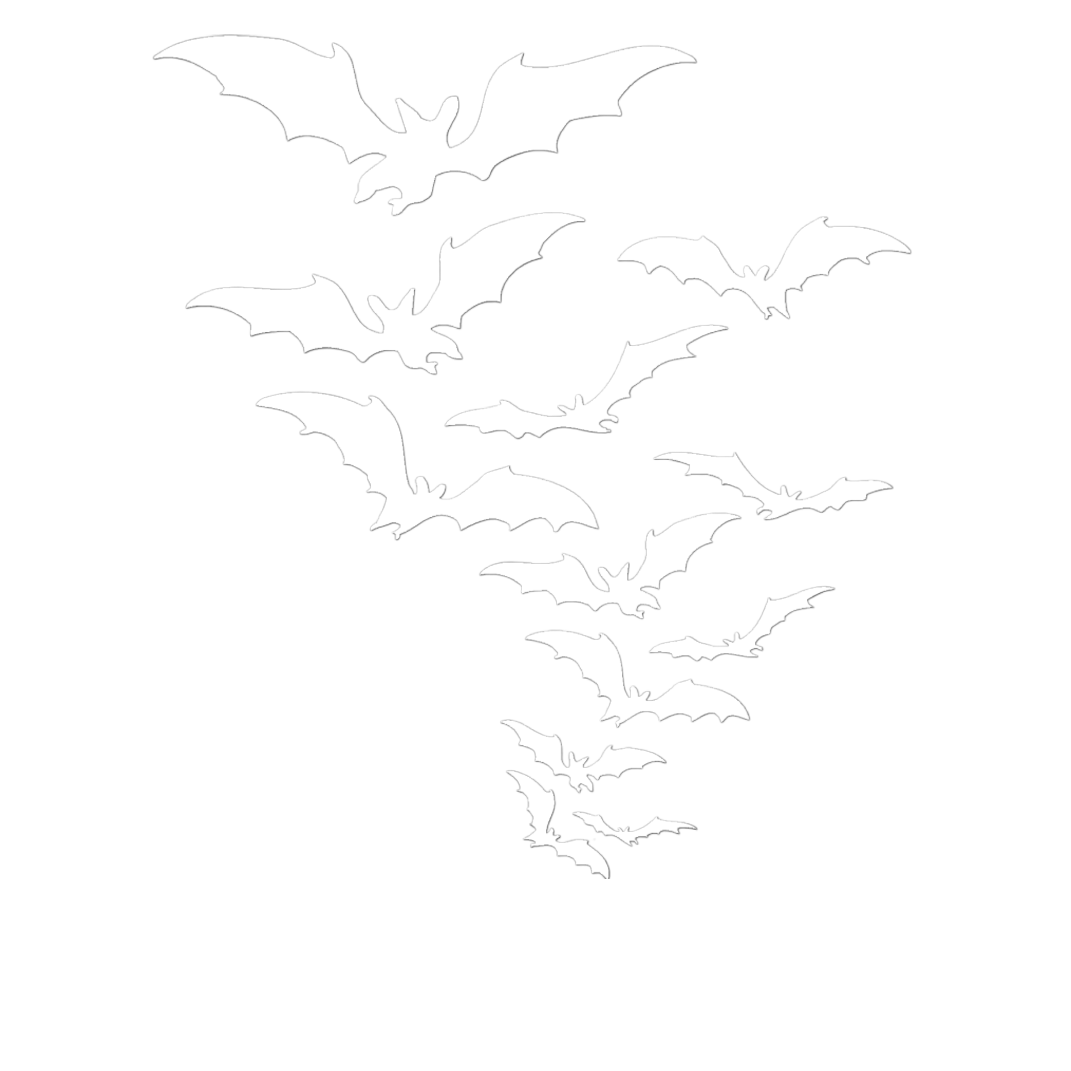 bats